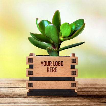 Premium MDF Mini flower Pot