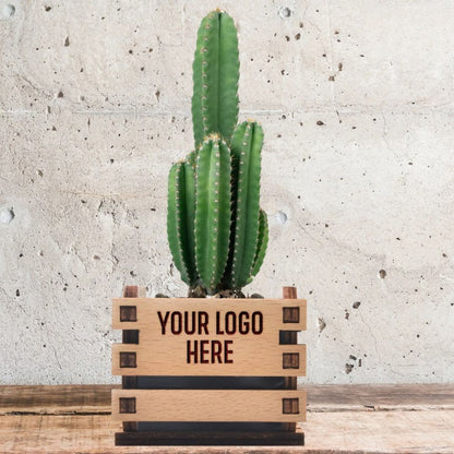 Premium MDF Mini flower Pot